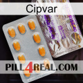 Cipvar new12